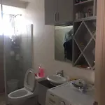 Guppy Home